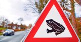 Naturschützer müssen Kröte schlucken 