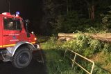Riesiger Baum stürzte nachts auf die Landstraße zwischen Echthausen und Voßwinkel