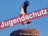 Liebesspiel der Störche kein Anblick für Minderjährige