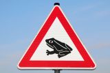 Amphibien-Wanderung beginnt: Krötenzäune und Warnschilder