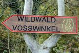 „Wildwald“ soll zum „Walderlebnis-Zentrum“ für die ganze Region werden